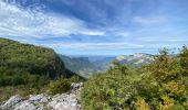 Trail Walking La Chapelle-en-Vercors - Belvédère de Remoulat  - Photo 6