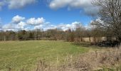 Trail Walking Gouvy - Gouvy 23 km  - Photo 12