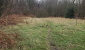 Trail Walking Sprimont - Tour de bois d'arlon  a Banneux 9Km  - Photo 9