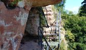 Tour Wandern Philippsburg - Étang de Hanau / Circuit de découverte  - Photo 10