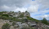 Percorso Marcia Le Castellet - Autour de la roche Redonne - Photo 6