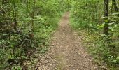 Tocht Stappen Saint-Hilaire - Saint-Hilaire - Géosite et abri gravé - Photo 9