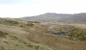 Trail On foot Unknown - Taith Ardudwy Way - Photo 1