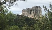 Tour Wandern Saint-Rémy-de-Provence - La crête des Alpilles - Photo 7