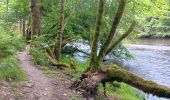Trail Walking Houffalize - Le herou . Le chesle - Photo 13