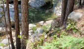 Percorso Marcia Vivario - très belle balade avec très belle vasque - Photo 10