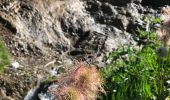 Tour Wandern Val-d'Isère - Les cascades des salins au départ de val d’Isère  - Photo 4