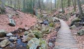 Trail Walking Spa - barisart . creppe . geronstere . barisart - Photo 2