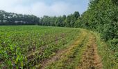 Tour Wandern Perche en Nocé - Préaux-du-Perche Sud - Photo 9