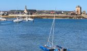 Tocht Stappen Camaret-sur-Mer - Camaret - Photo 1