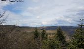 Excursión Senderismo Les Plans - Les Plans - Plateau du Grézac - Photo 8