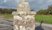 Trail Walking Erdeven - PR_56_Erdeven_CA_03_Sentier-Des-Villages-Nd_Circuit1b_20221106 - Photo 4