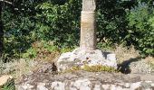 Tocht Elektrische fiets Le Puy-en-Velay - 130824 **** - Photo 3