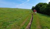 Tocht Stappen Nasbinals - live Nasbinals - Saint Chély  - Photo 12