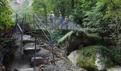 Tocht Stappen Casteil - abbaye St Matin du Canigou - Photo 1