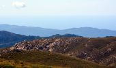 Trail Walking Quenza - Plateau de Cuccione - Photo 4