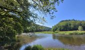 Tocht Stappen Bouillon - rando botassart 24-05-2023 - Photo 19