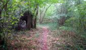 Randonnée Marche Beaumont Saint-Cyr - Bois de Colombiers - Photo 2