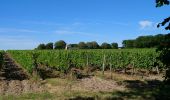 Tour Wandern Azay-le-Rideau - Azay-le-Rideau - Goupillières Baulay - 15.1km 185m 3h35 - 2022 07 12 - Photo 5