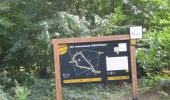Trail Walking Houppeville - 20200905-Houppeville  - Photo 2
