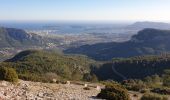 Tour Wandern Évenos - Le Mont CAUME - Photo 1