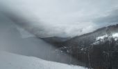 Tour Schneeschuhwandern Sewen - SewenWissgrutFennmatt - Photo 3