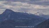 Excursión Senderismo Voreppe - Aiguille de Chalais - Photo 2