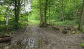 Tocht Stappen Les Granges-le-Roi - Forêt domaniale de Dourdan  - Photo 7