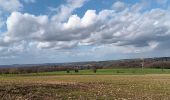 Trail Walking Esneux - autour du Cortil et des Sept Collines  - Photo 3