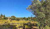Trail Walking Sanary-sur-Mer - trail La Gorguette au Petit Cerveau - Photo 6