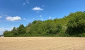 Excursión Senderismo Gerpinnes - Fromiée Gougnies - Photo 8