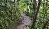 Tour Wandern Mindo - Cascadas de Tarabita - Photo 4