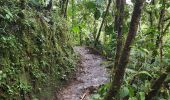 Trail Walking Mindo - Cascadas de Tarabita - Photo 4