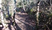 Trail Walking Venasque - venasque souveille chinardon 84 - Photo 8