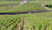 Percorso Marcia Gevrey-Chambertin - Sentier des crêtes Fixin Gevrey - Photo 3
