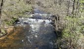 Percorso Marcia Corrèze - Chemin du Paradis - Photo 10