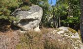 Excursión Senderismo Buno-Bonnevaux - Buno-Bonneveaux - Polissoir de Grimery - Photo 4