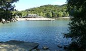 Percorso A piedi Chambon-sur-Lac - Le Lac Chambon - Photo 5