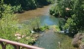 Tocht Stappen Les Arcs-sur-Argens - l'apié de raybaud - Photo 8