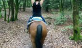 Trail Horseback riding Brouville - Avec Nadine Fred brouville grammont Tivio  - Photo 3