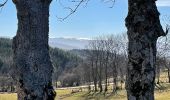 Trail Walking Cherier - Les Moulins Chérier : entre Les Faux et Montloup - Photo 3