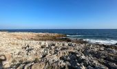 Tocht Stappen Antibes - Littoral du cap d’Antibes  - Photo 11