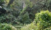 Trail Walking Le Morne-Rouge - Domaine de la vallée via Hbt Pecoul - Photo 14