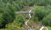 Excursión A pie Münchweiler an der Rodalb - Münchweiler Höhenwanderweg - Photo 1