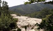 Percorso A piedi Fogars de Montclús - L'empedrat de Morou - Photo 2