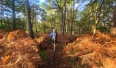 Randonnée Marche Noisy-sur-École - Boucle 24 km Fontainebleau Arbonne - Photo 13