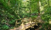 Tour Wandern Consdorf - 2023-06-19_09h33m43_Sentier_local_-_C6 - Photo 6