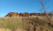 Trail Walking Sisteron - SISTERON.  Bois de la Bûche N - Photo 1