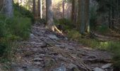 Trail Walking Eupen - Ternell 1 - Photo 9