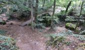Trail Walking Chamarande - Lardy - Le Lièvre d'Or - Photo 2